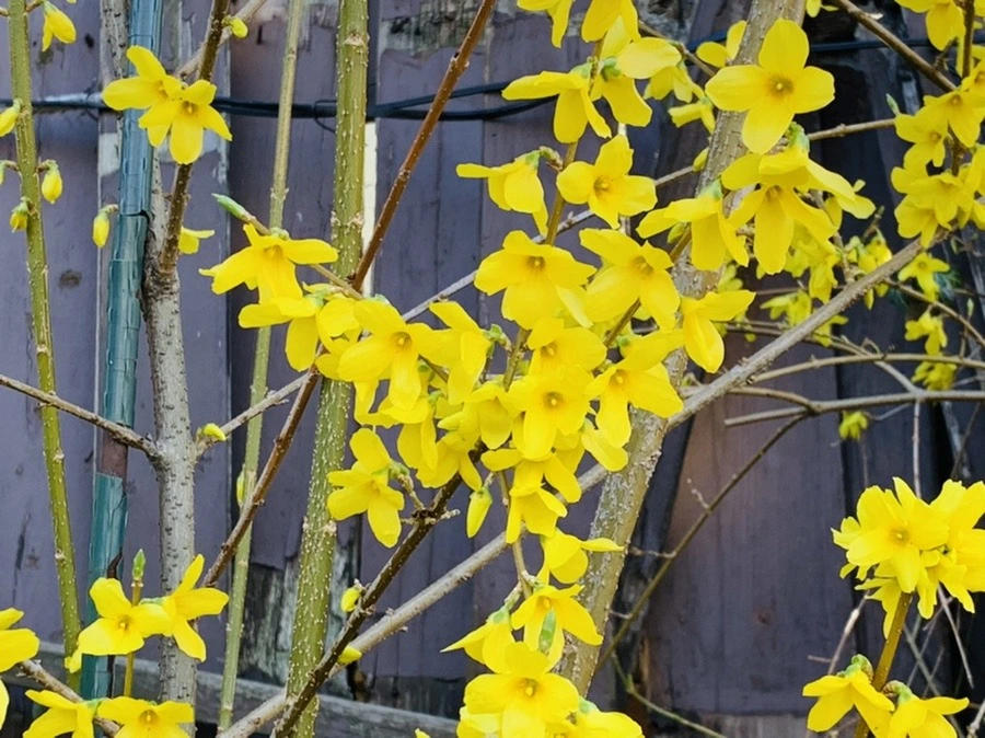 GeA5SWR9n7HPI9TaApQe0ue5Cf0