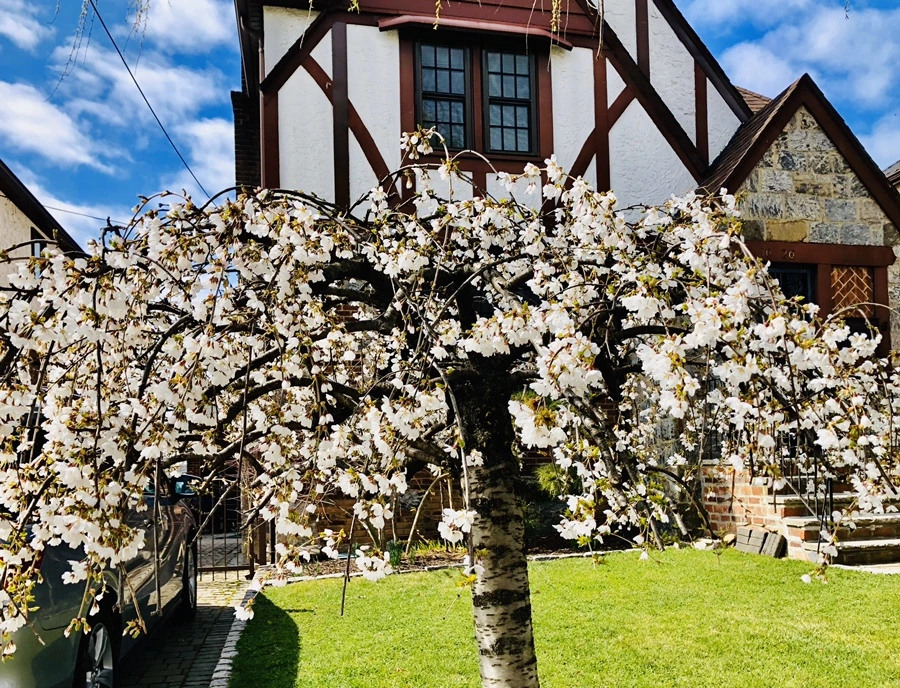 IMG_6586.jpg?type=w966