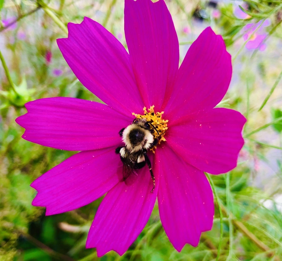 IMG_0180.jpg?type=w966