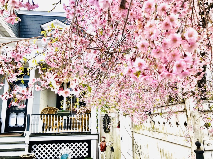 IMG_7100.jpg?type=w966