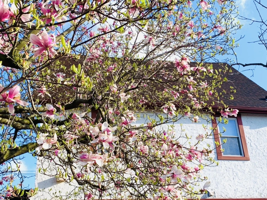 IMG_2689.jpg?type=w966