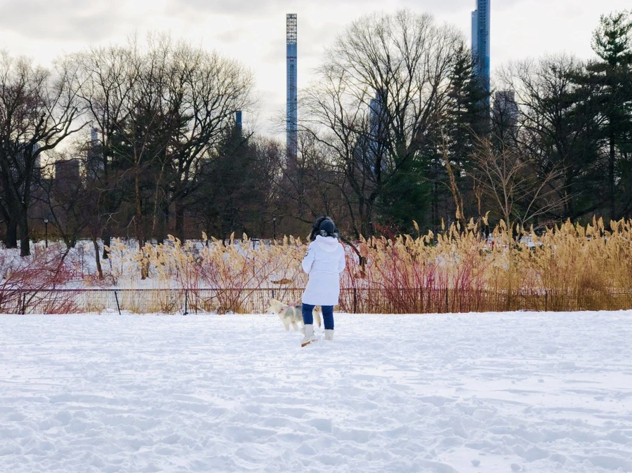 IMG_7299.jpg?type=w966