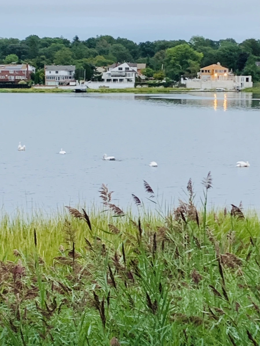 IMG_6174.jpg?type=w966