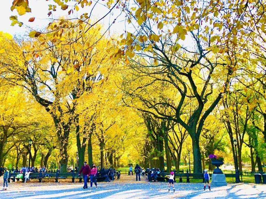 hfx5qEC0mmnNpKVxrjyEiAWRKHI