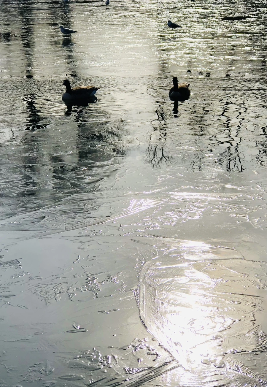 IMG_8462.jpg?type=w966