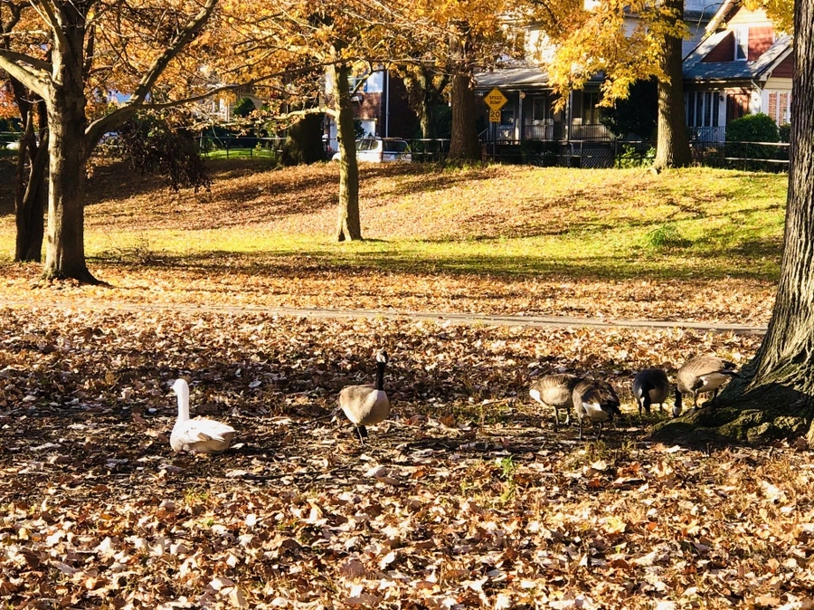 IMG_4122.jpg?type=w966