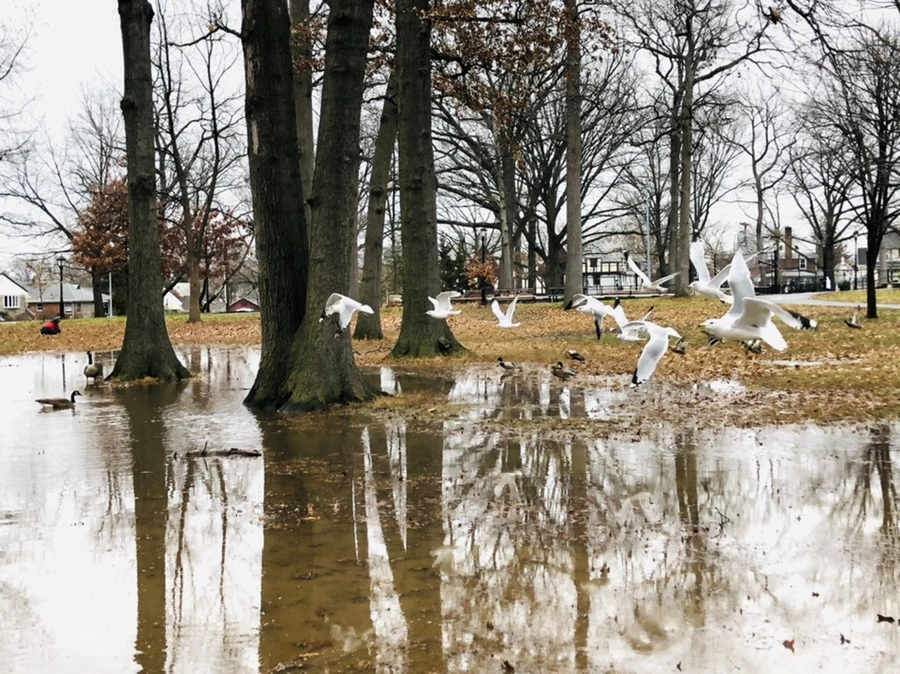 IMG_9488.jpg?type=w966