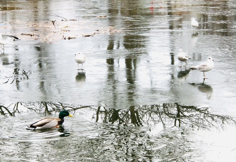 IMG_9022.jpg?type=w966