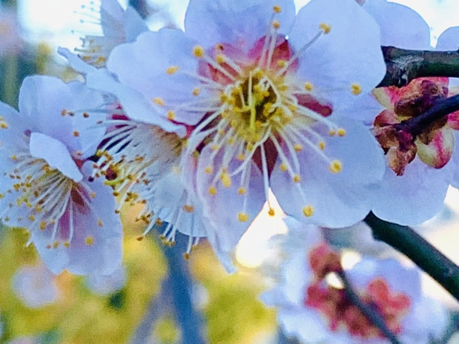 IMG_0835.jpg?type=w966