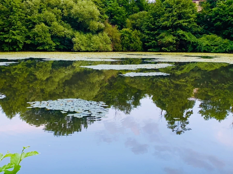 IMG_2989.jpg?type=w966