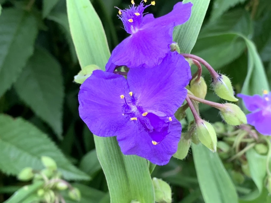 IMG_5568.jpg?type=w966