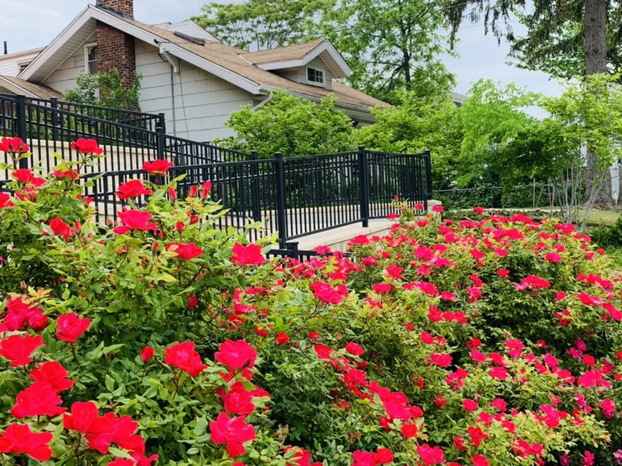 IMG_4826.jpg?type=w966