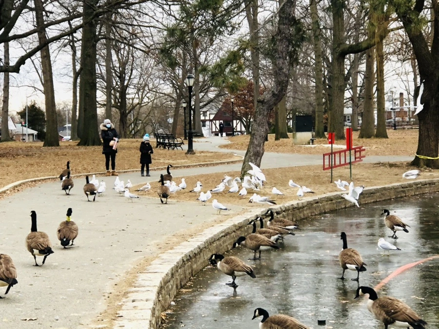 IMG_8304.jpg?type=w966