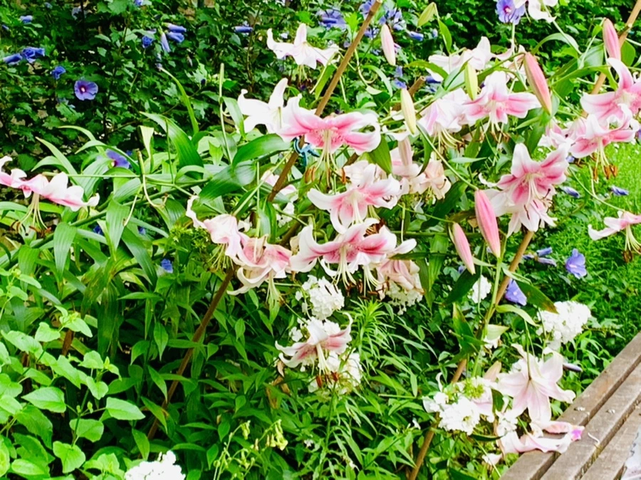 IMG_5012.jpg?type=w966