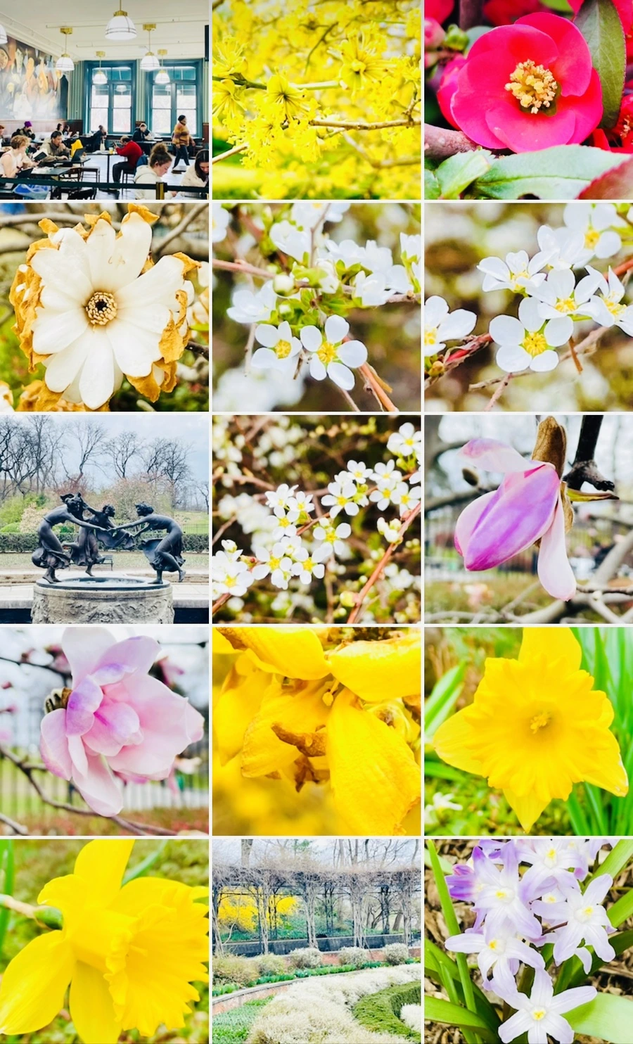 IMG_8033.jpg?type=w966