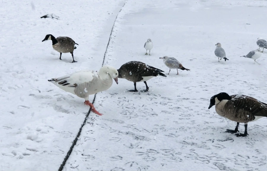 IMG_4191.jpg?type=w966