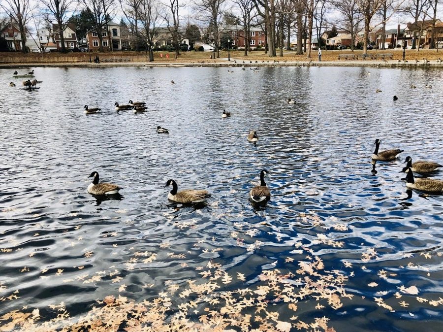 IMG_3214.jpg?type=w966