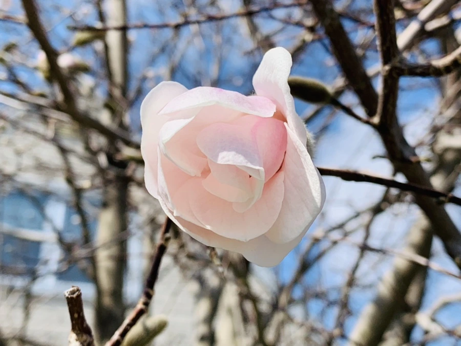 IMG_4348.jpg?type=w966