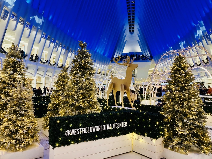 IMG_2528.jpg?type=w966