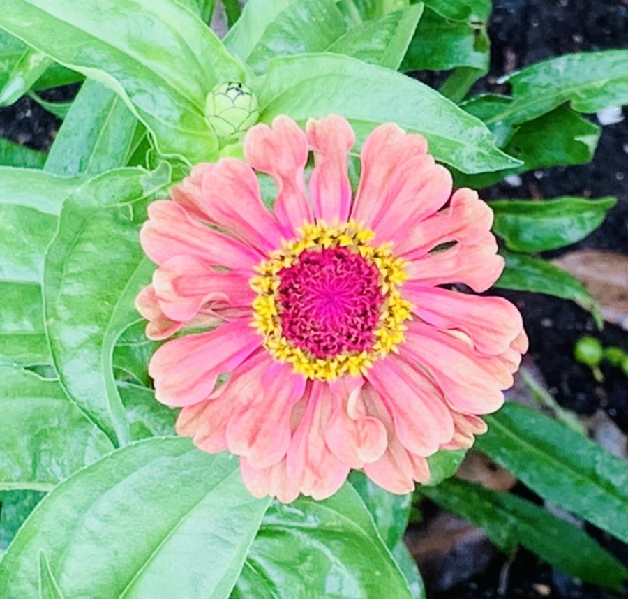 IMG_9556.jpg?type=w966