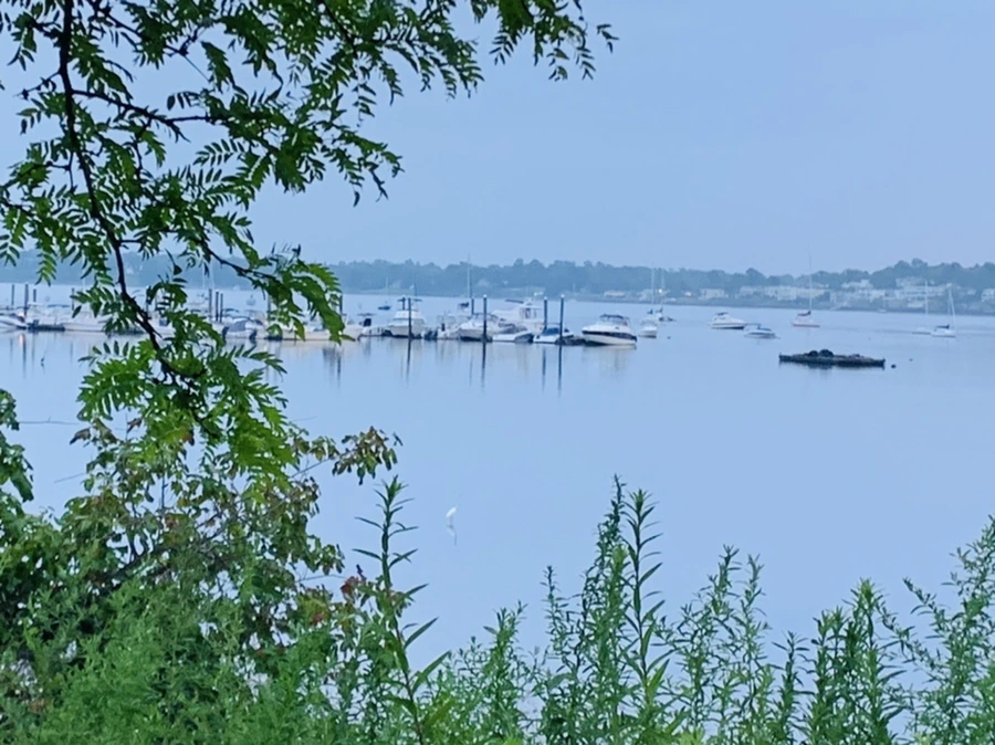 IMG_0134.jpg?type=w966