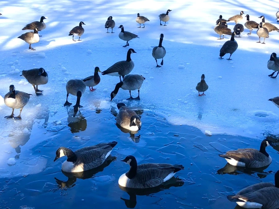 IMG_9916.jpg?type=w966