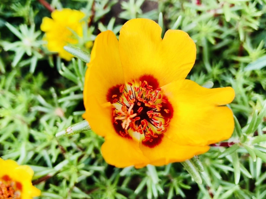 IMG_1461.jpg?type=w966