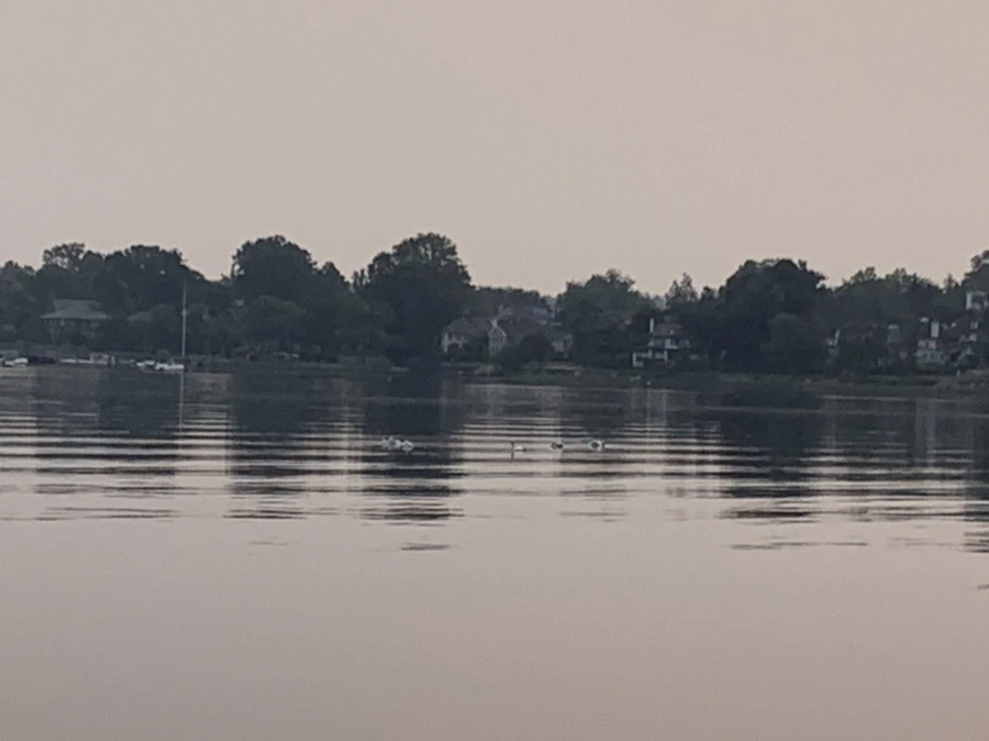 IMG_8226.jpg?type=w966