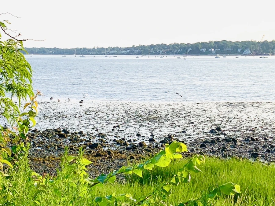 IMG_9820.jpg?type=w966