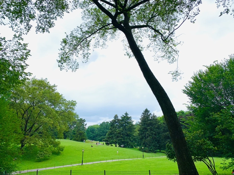 IMG_9906.jpg?type=w966