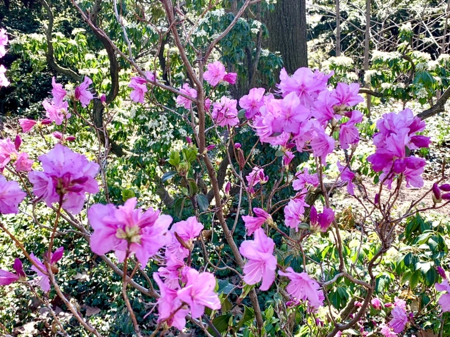 IMG_5639.jpg?type=w966