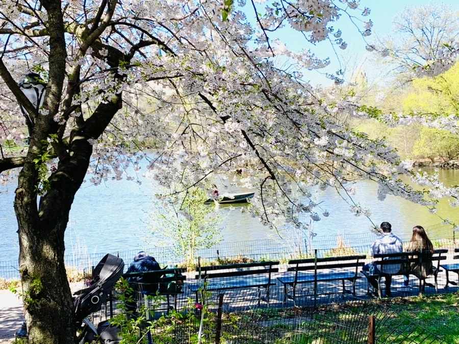 IMG_1939.jpg?type=w966