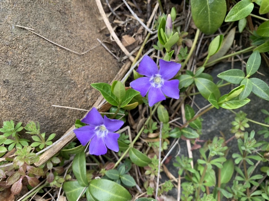 IMG_3701.jpg?type=w966