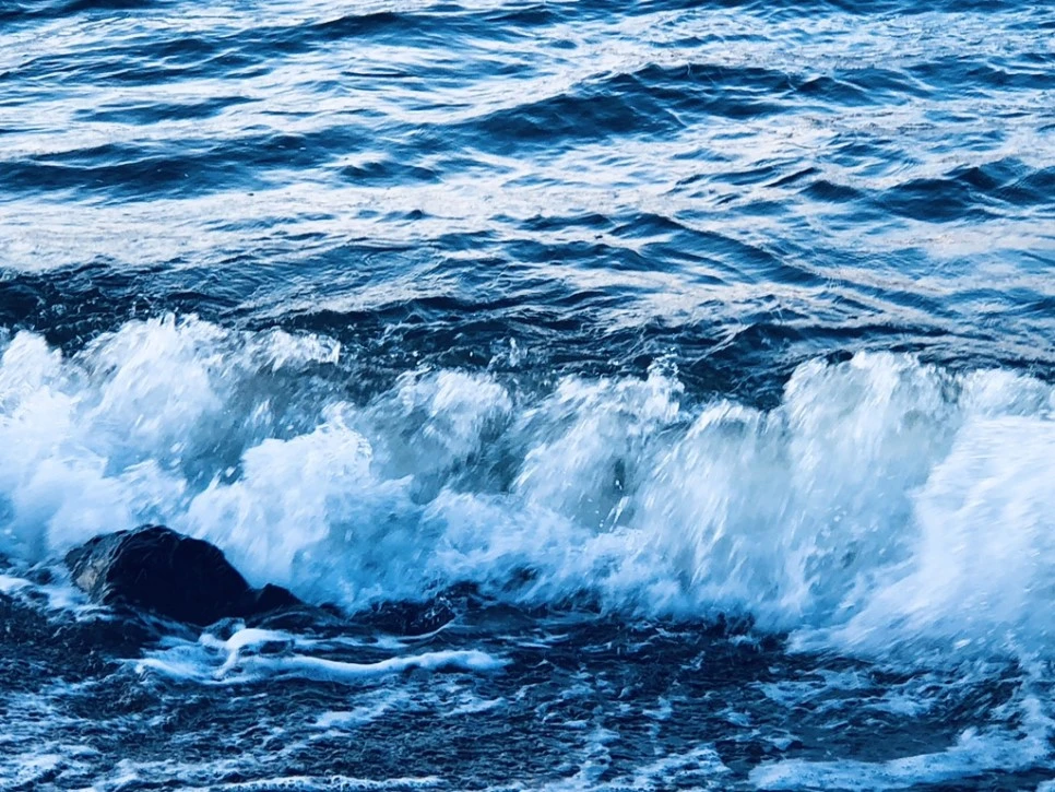 IMG_6938.jpg?type=w966