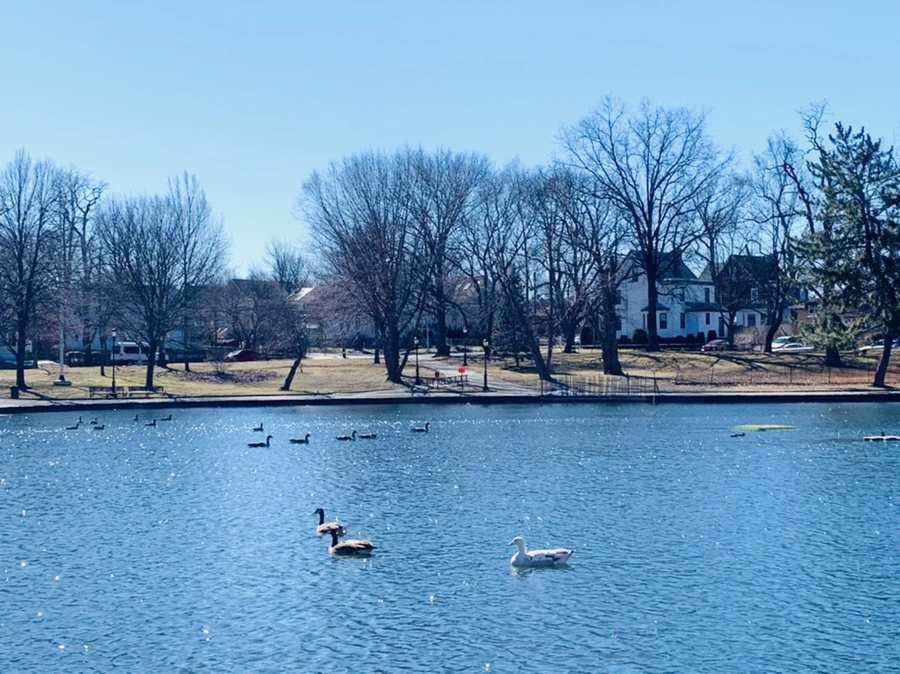 IMG_7610.jpg?type=w966