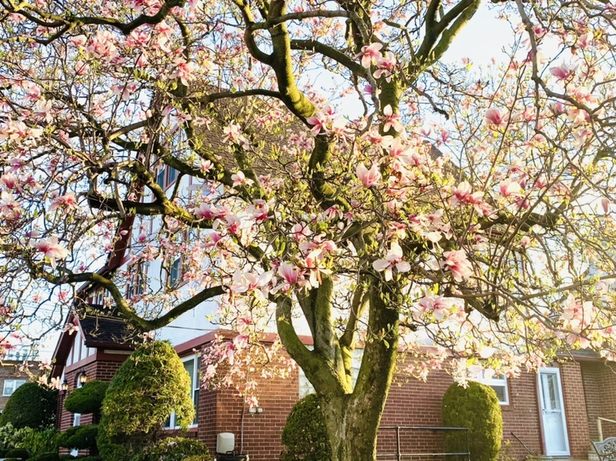 IMG_2432.jpg?type=w966