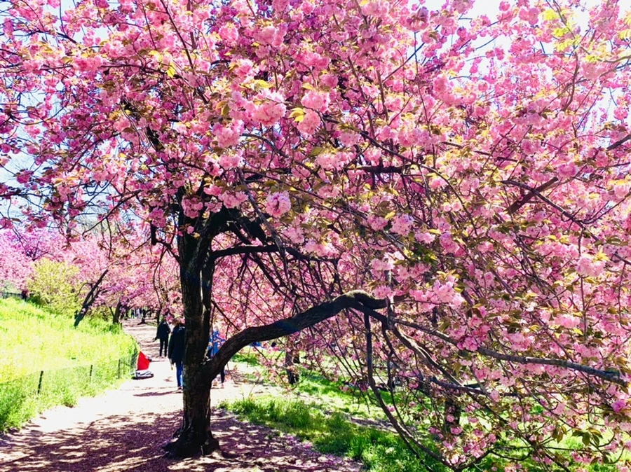 IMG_5916.jpg?type=w966