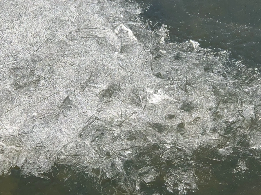 IMG_7903.jpg?type=w966