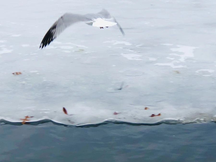 IMG_6266.jpg?type=w966