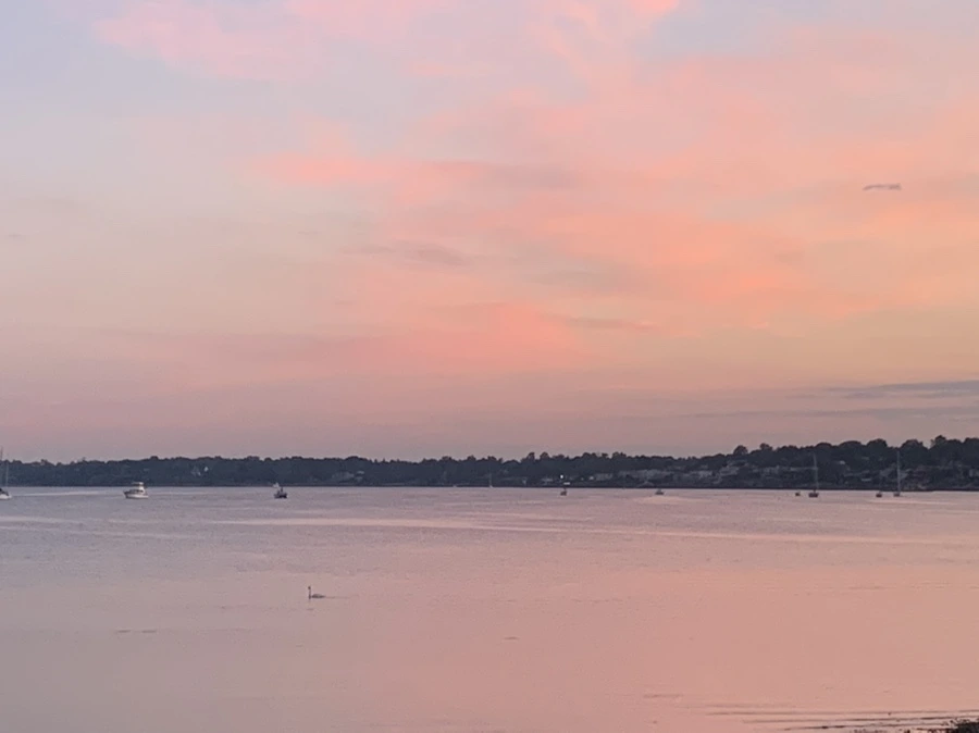 IMG_8737.jpg?type=w966