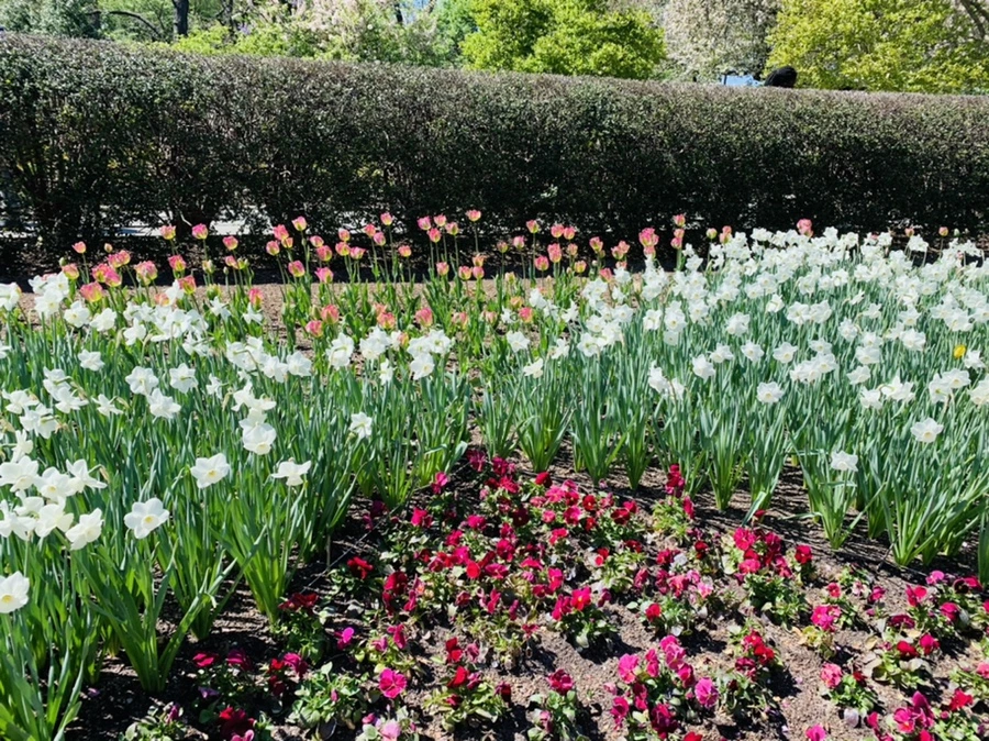 IMG_5735.jpg?type=w966