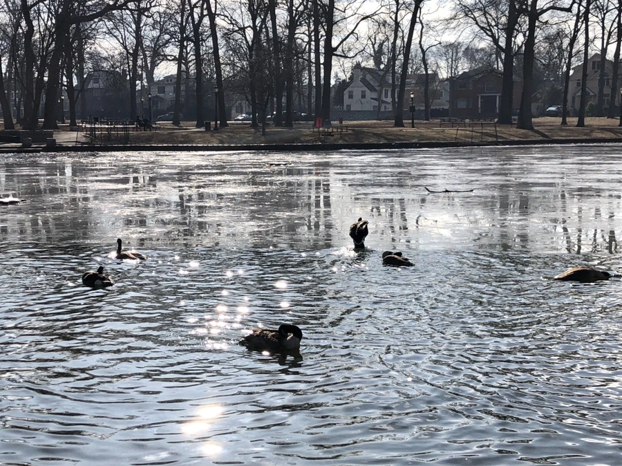 IMG_9259.jpg?type=w966