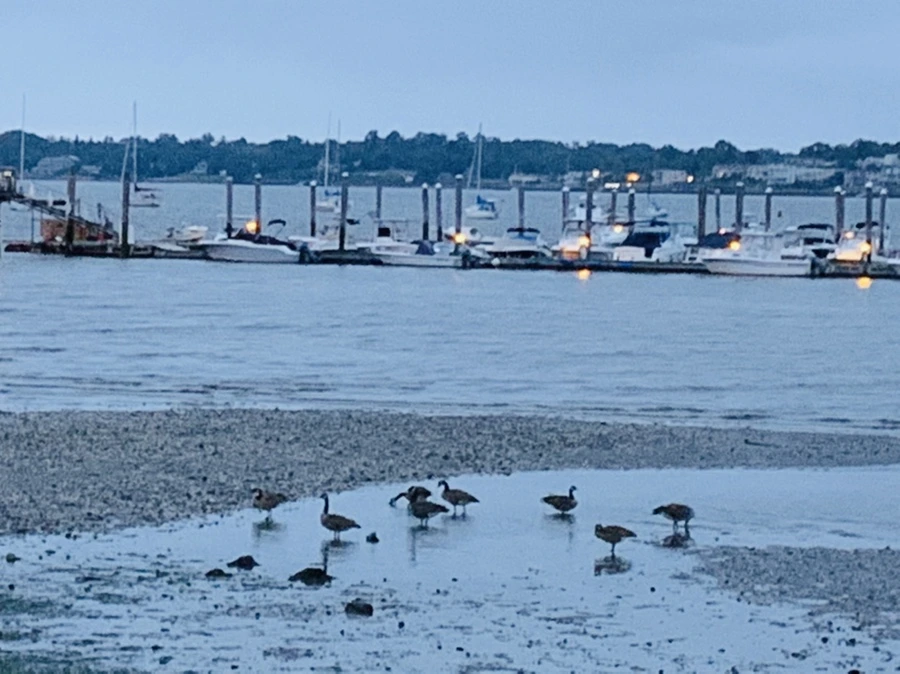 IMG_6704.jpg?type=w966