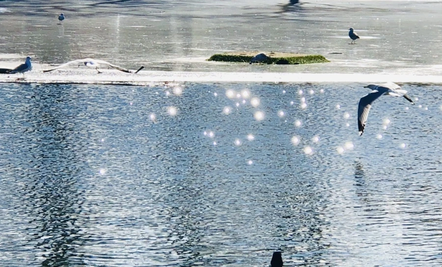 IMG_5348.jpg?type=w966