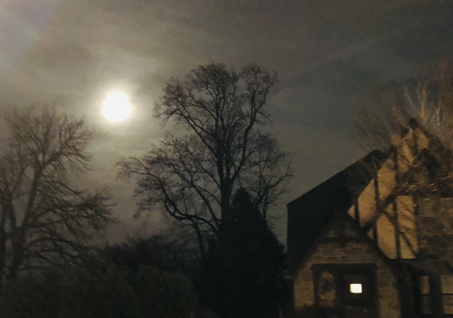 IMG_8575.jpg?type=w966