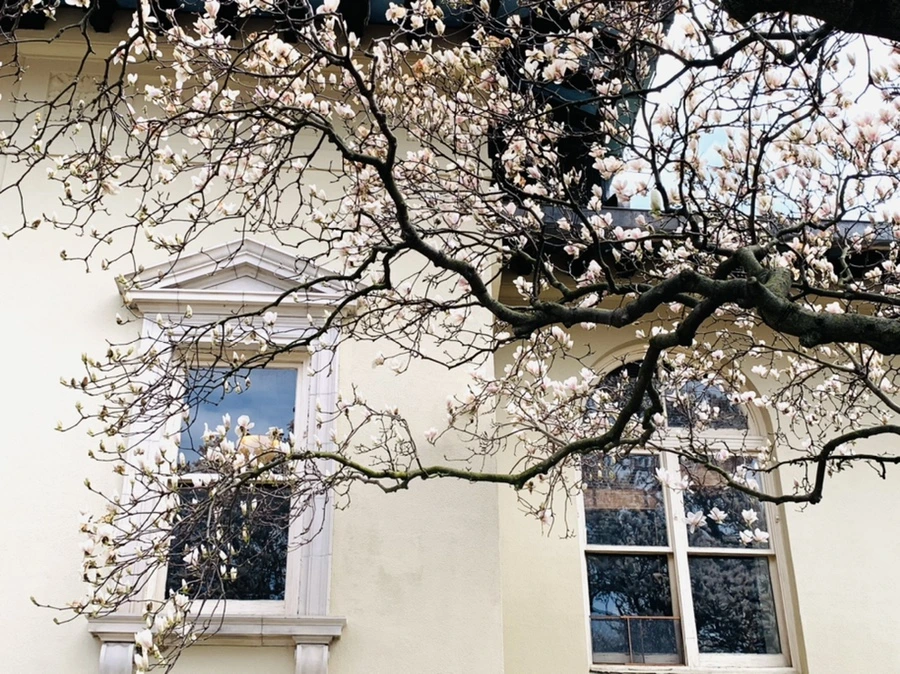 IMG_7216.jpg?type=w966