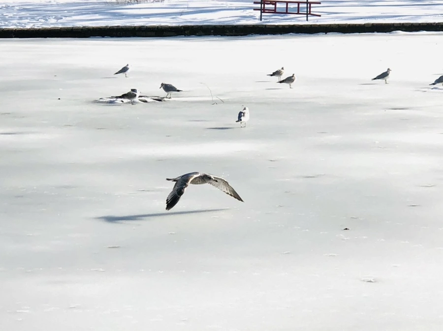 IMG_0337.jpg?type=w966