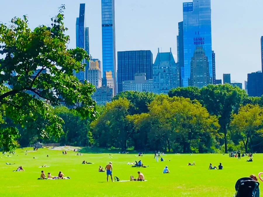 IMG_9696.jpg?type=w966