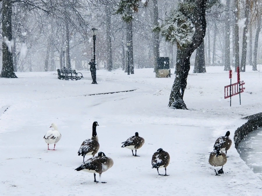 h7_ME6hRidEin1vm_7s35rkgbQM