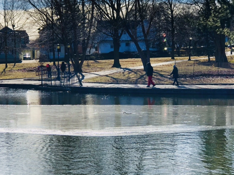 IMG_5545.jpg?type=w966